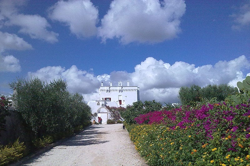 Masseria Torre Coccaro: Refugium im Olivenland