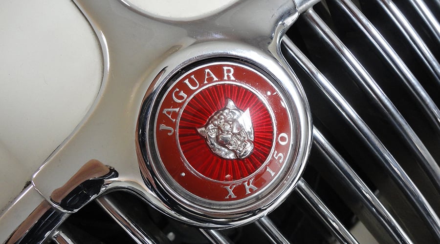 Garagengold: Die Jaguar-Sammlung des Dr. Jenny