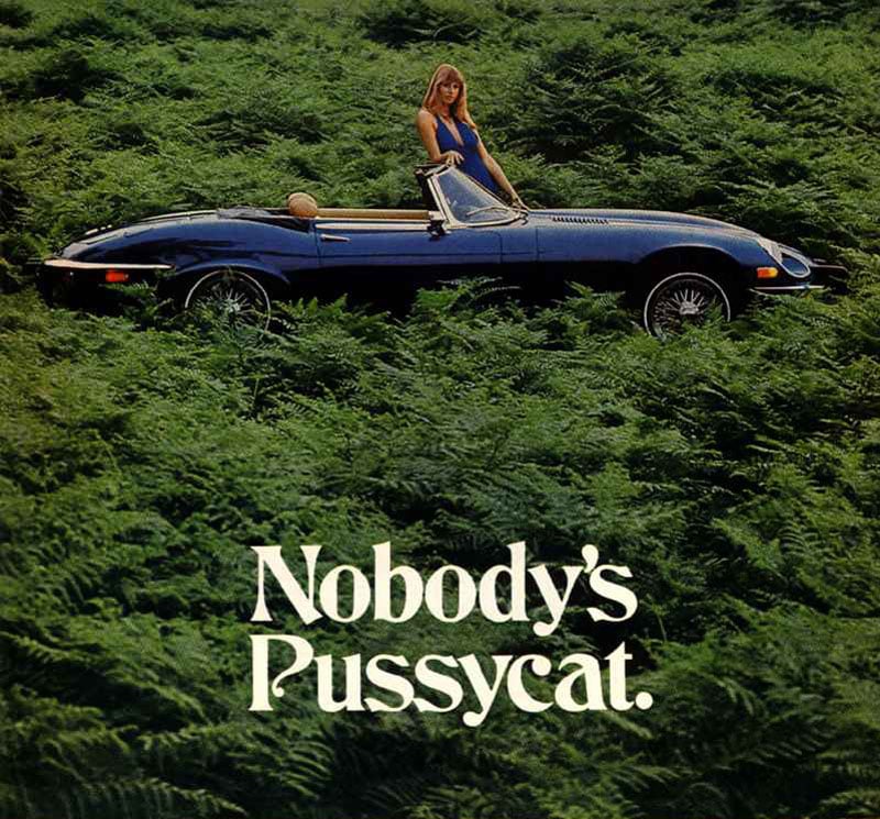 Woah... Woah... What's New Pussycat?