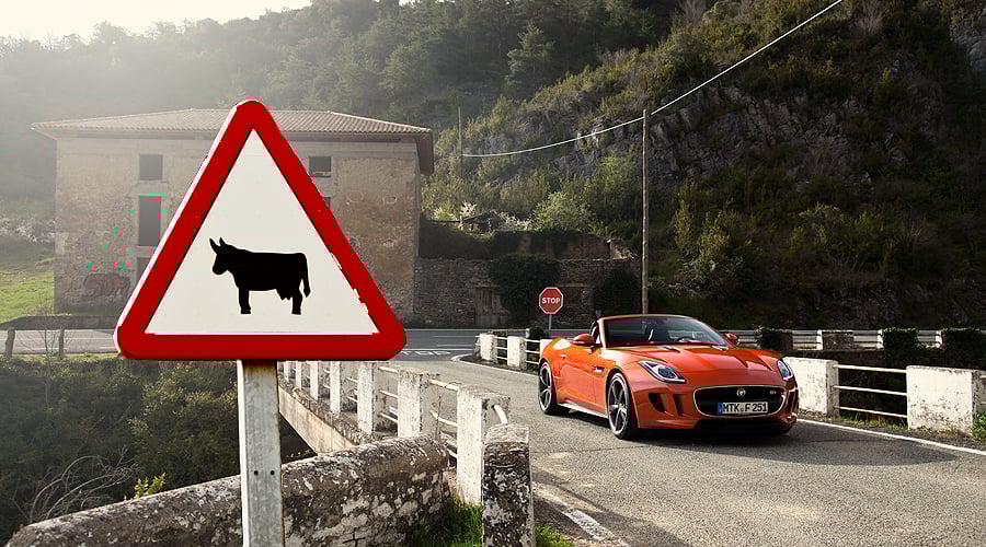 Jaguar F-Type V8 S: Das große Brüllen