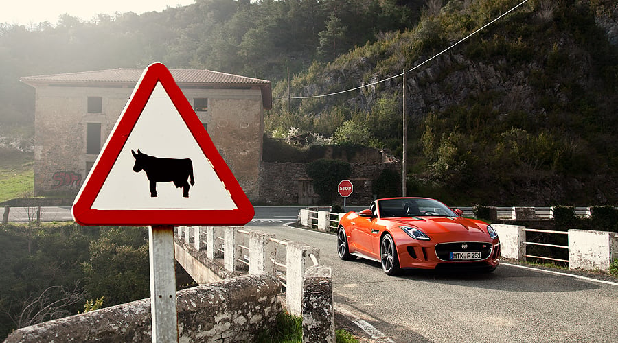 Jaguar F-Type V8 S: The cat that roars