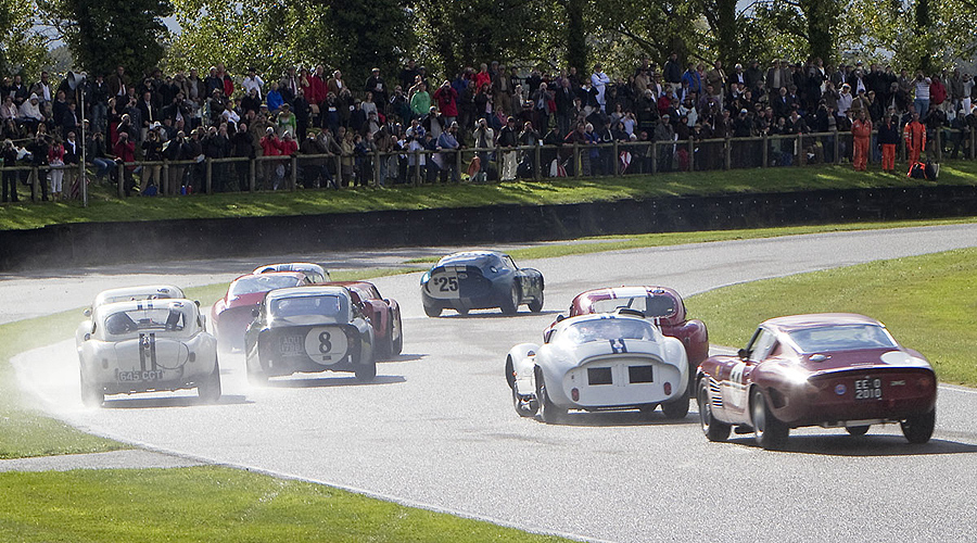 The 2011 Goodwood Revival