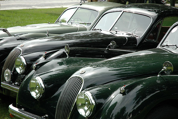 25 Jahre Jaguar Association Germany