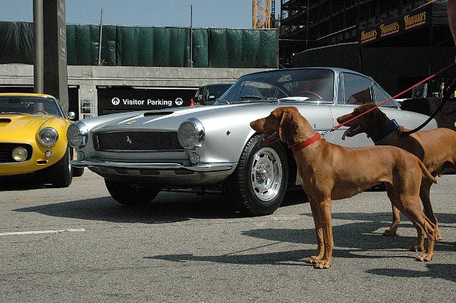 Concorso Ferrari in Los Angeles