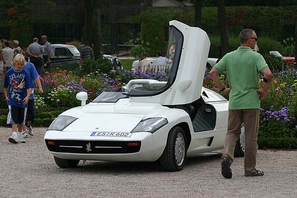 Concours d'Elegance in Schwetzingen 2005