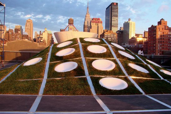 Mini Rooftop NYC: Kreativer Dachgarten