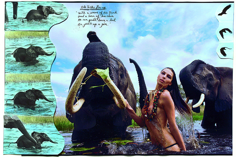Pirelli Kalender „The Cal 2009“: Peter Beard und sieben Schönheiten