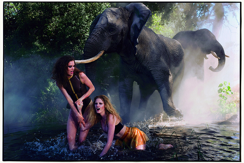 Pirelli Kalender „The Cal 2009“: Peter Beard und sieben Schönheiten