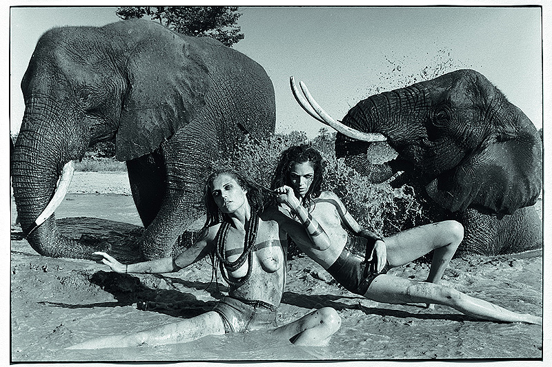 Pirelli Kalender „The Cal 2009“: Peter Beard und sieben Schönheiten