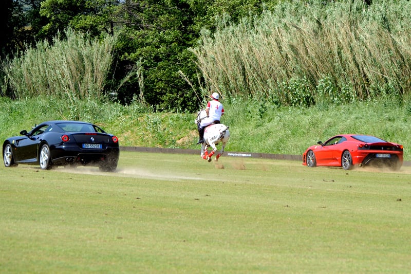 Polo Club St. Tropez: Hippocampus 2009