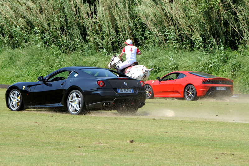 Polo Club St. Tropez: Hippocampus 2009