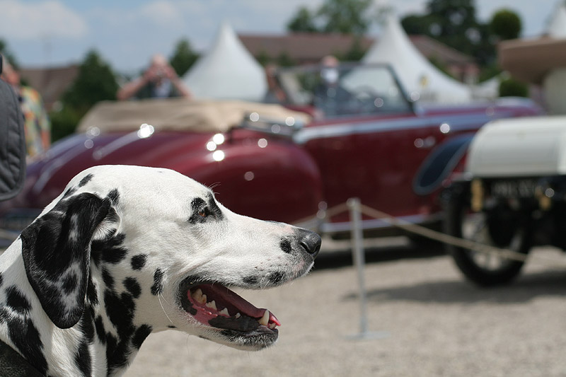 Retro Classics meets Barock 2009: Rückblick