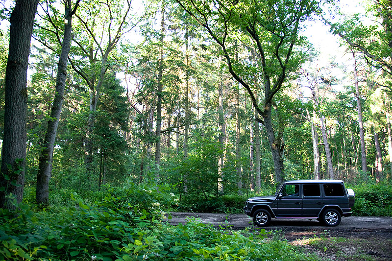 Mercedes-Benz G 500: Geht immer