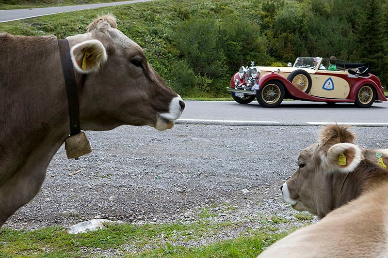 Schöffel Alpen-Trophy 2009: Rückblick