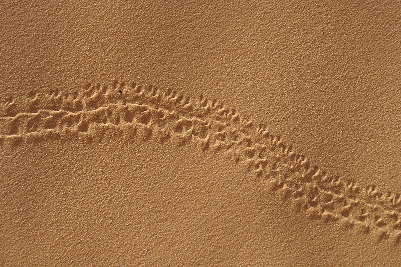 Wüste Geschichte – Teil 2
