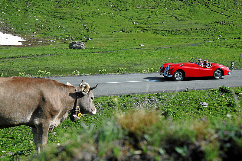 St Moritz: 17th British Classic Car Meeting 2010: Review