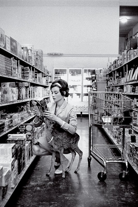Buchtipp: Audrey Hepburn. Photographs 1953–1966