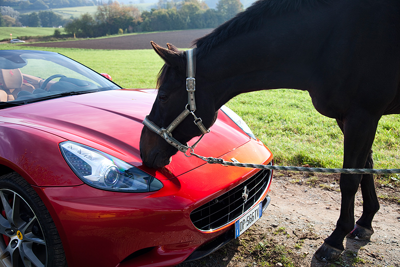 Ferrari California: Zur Sonne, zur Freiheit 