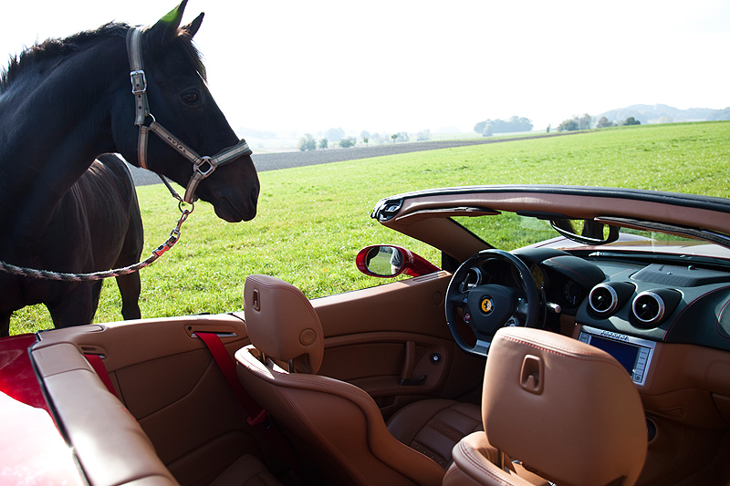 Ferrari California: Zur Sonne, zur Freiheit 