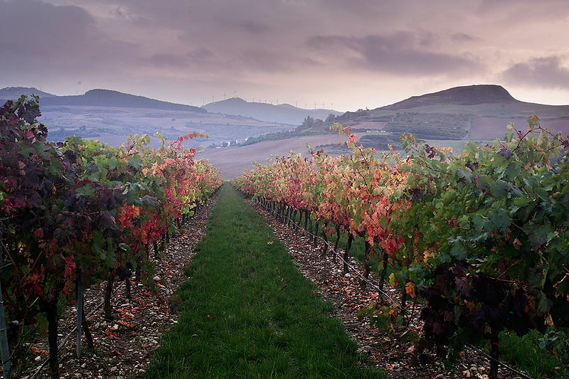 Señorío de Otazu: Eine Kathedrale für Kunst und Wein