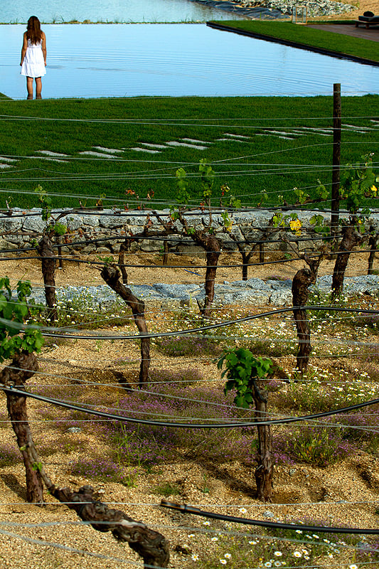 L’and Vineyards Resort: Schlafen unter den Sternen