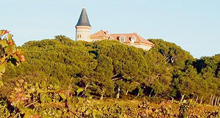 Château Capitoul: Wein Tour