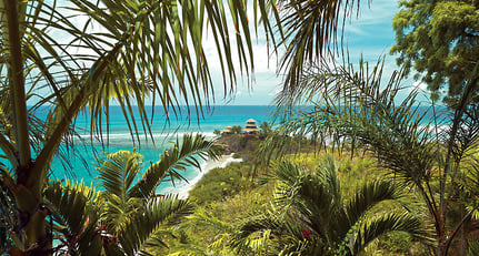 Virgin Limited Edition Necker Island: Grund zum Feiern