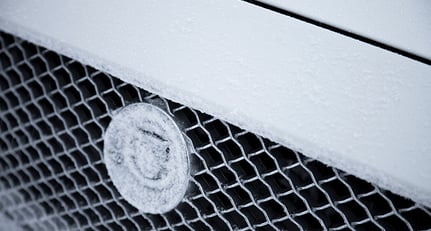 Jaguar XJ L: Ganz in weiß