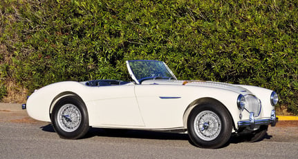 Austin-Healey 100 M  Le Mans 1955