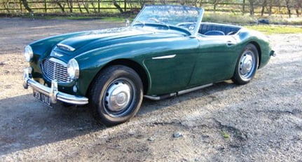 Austin-Healey 3000 BT7 1959