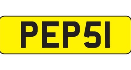 (Registration Number)PEP 51