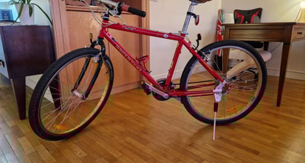 Michael Schumacher bicycle