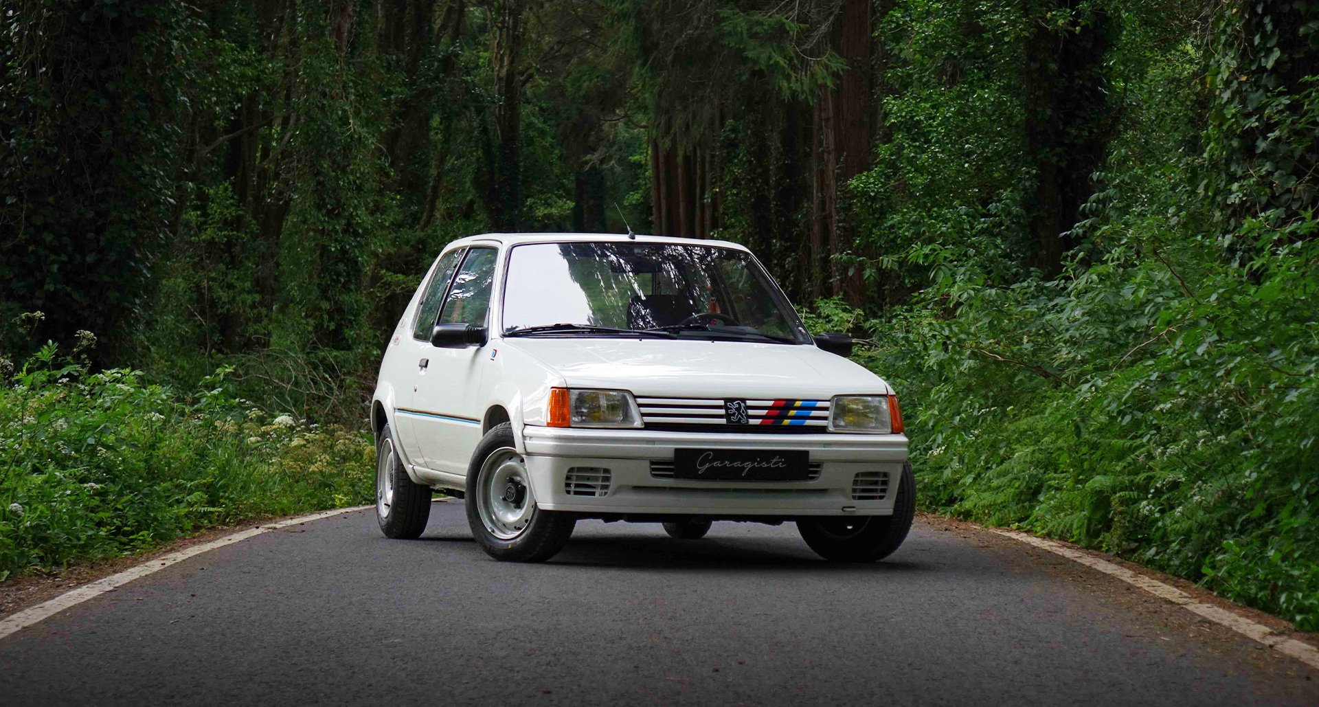 Peugeot 205 Gti Rally