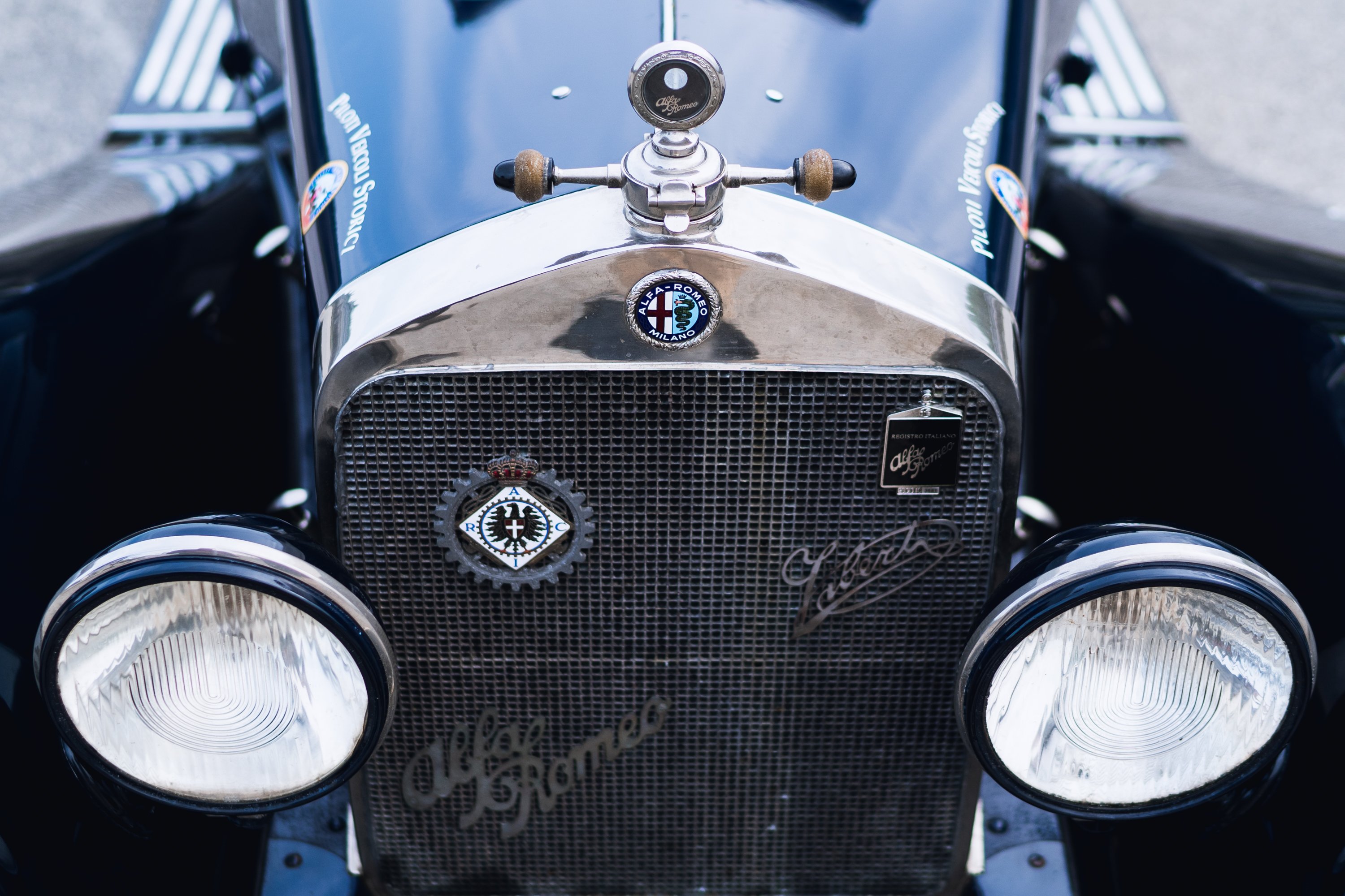 Lot #49