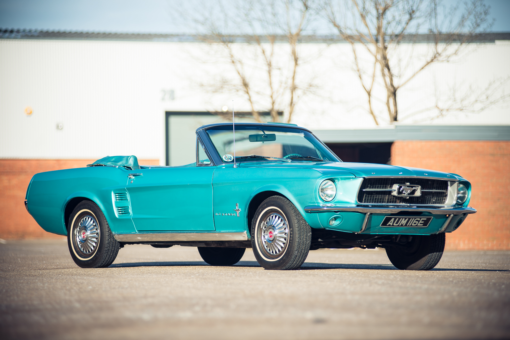 Ford Mustang фотогалерея: 254 фото высокого качества ...