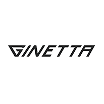 Ginetta G15 for sale