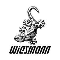 Wiesmann Roadster MF5 for sale