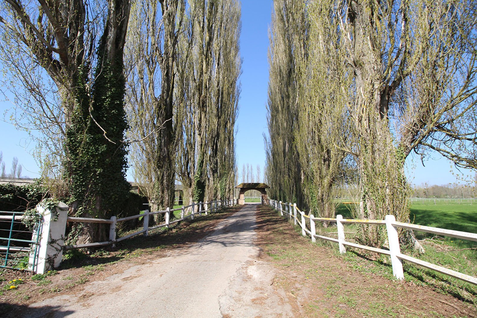 For sale in Fontainebleau Estate of over 3000 m² on 29 ha of land