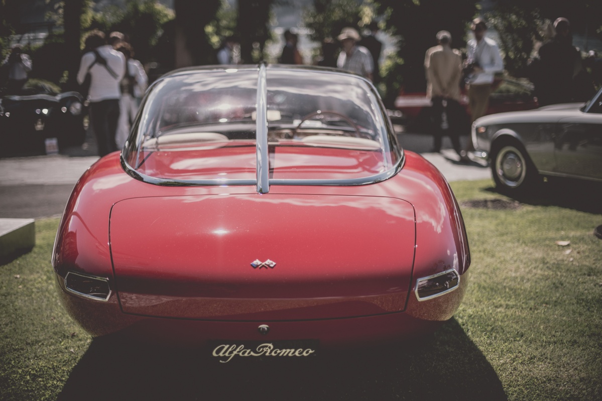 dsc_1654_2.jpg