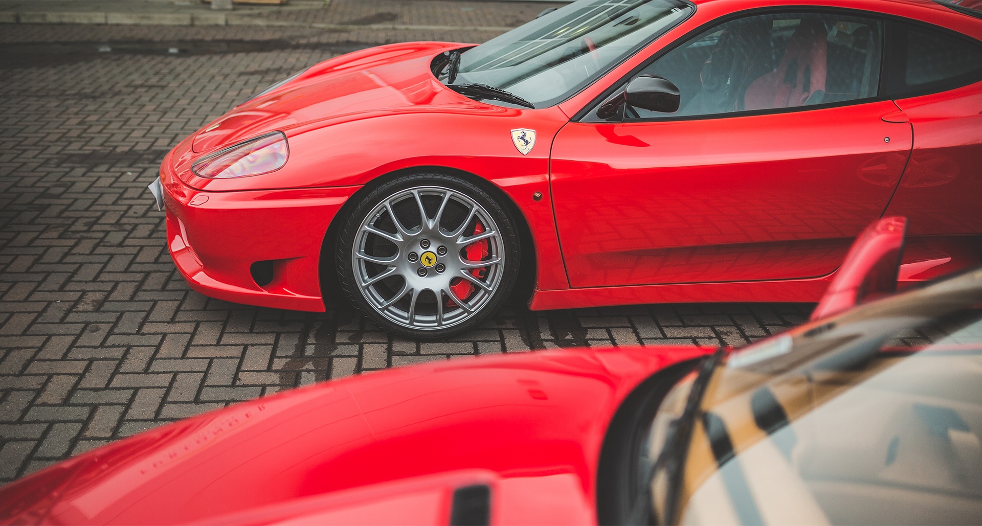 ferrari walking ring