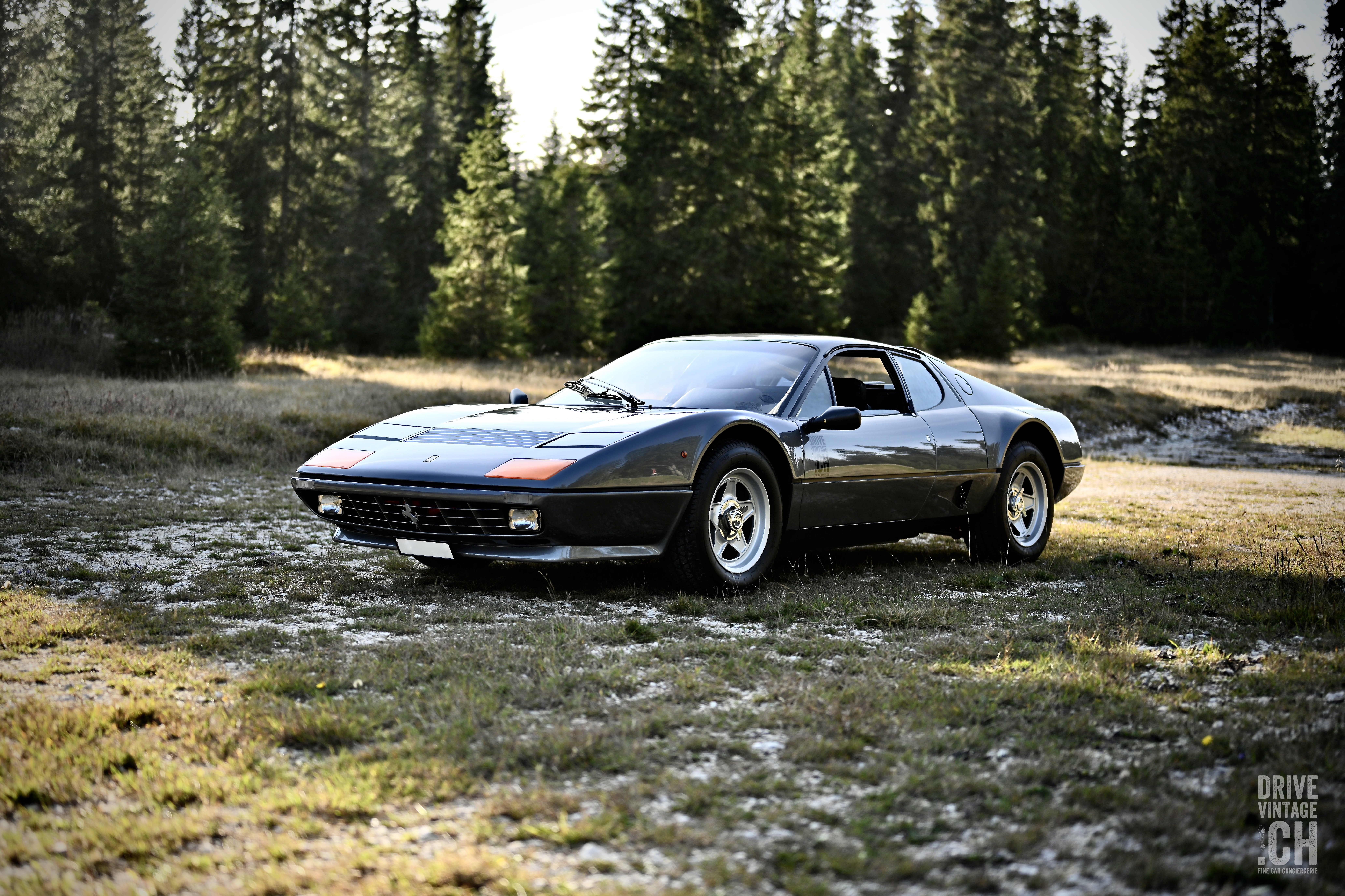 Drive Vintage Classic Driver