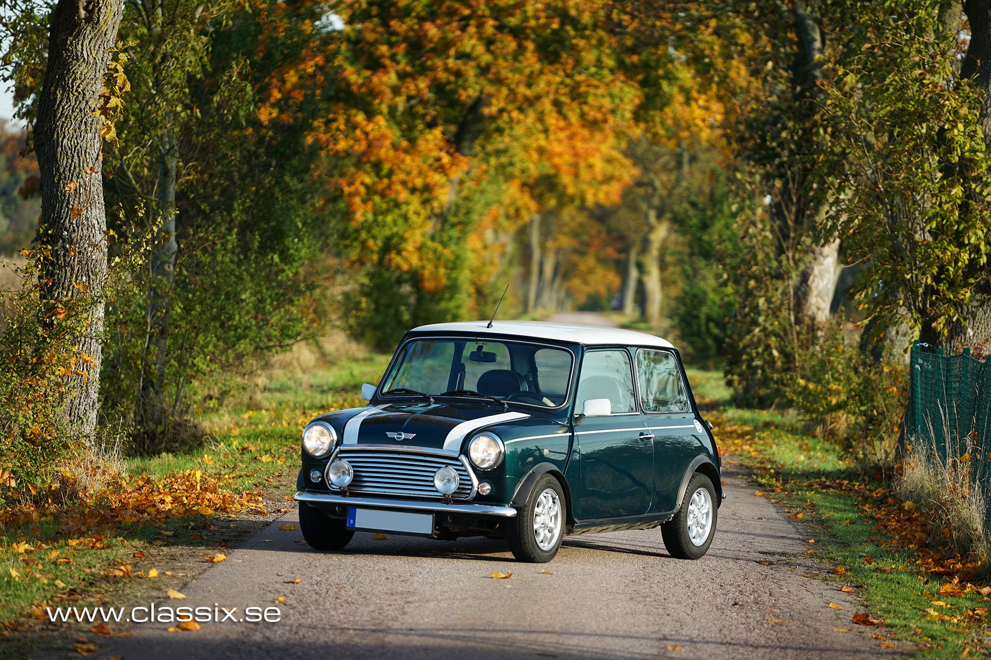 1998 Rover Mini - 1.3 MPI One Owner! First Paint! | Classic Driver Market